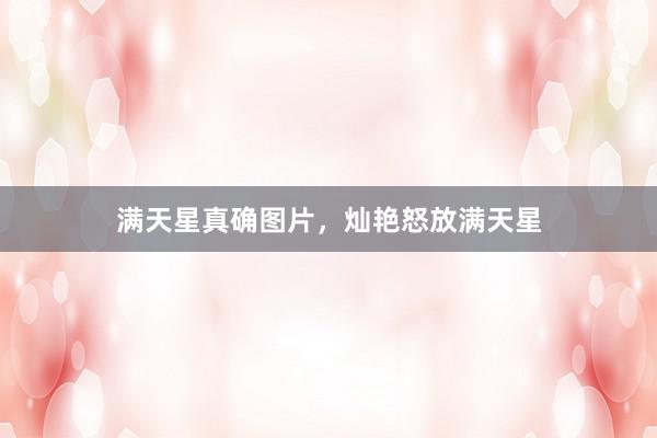 满天星真确图片，灿艳怒放满天星