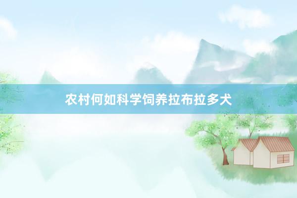 农村何如科学饲养拉布拉多犬