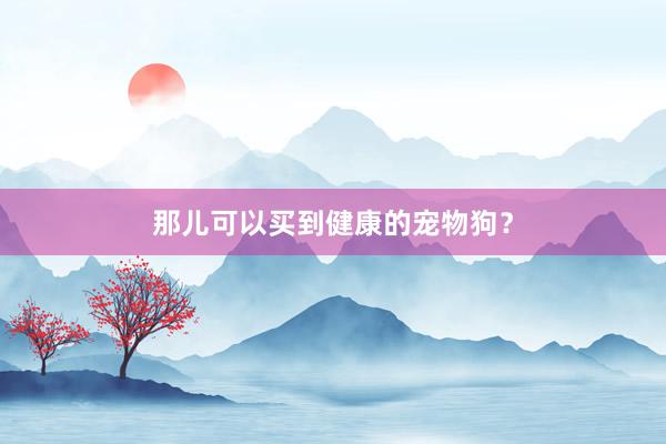 那儿可以买到健康的宠物狗？