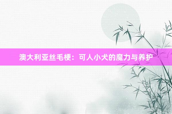 澳大利亚丝毛梗：可人小犬的魔力与养护